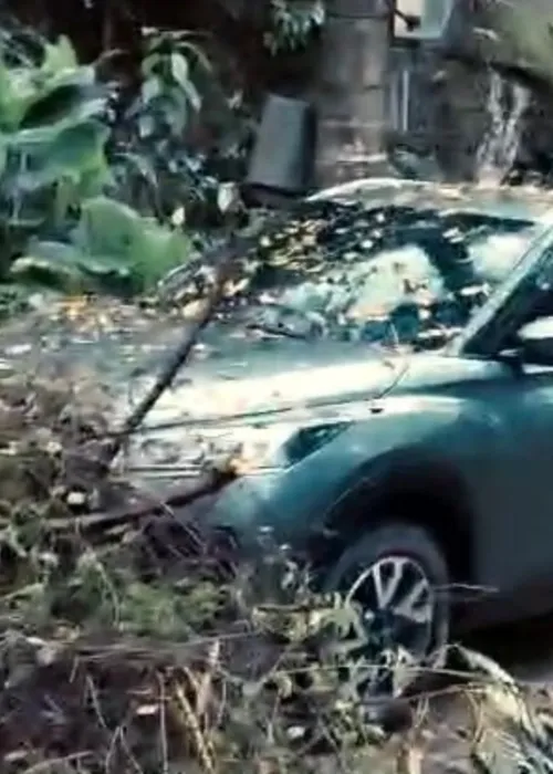 A árvore atingiu o carro de um dos moradores