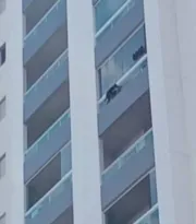 Imagem ilustrativa da imagem Cão fica pendurado em vão de apartamento do oitavo andar; veja vídeo
