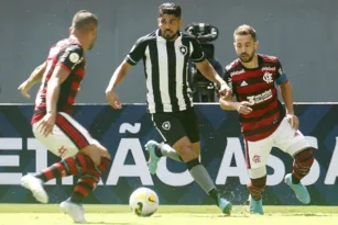 Imagem ilustrativa da imagem Em manhã iluminada de Gatito, Botafogo vence Flamengo no Mané Garrincha