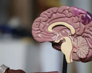 Imagem ilustrativa da imagem Covid-19 aumenta o risco de Alzheimer, AVC e Parkinson, diz estudo