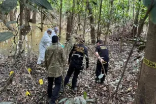 Imagem ilustrativa da imagem Ministro diz que 'remanescentes humanos' foram achados na Amazônia