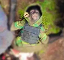 Imagem ilustrativa da imagem Macaco com colete à prova de balas é abatido durante confronto