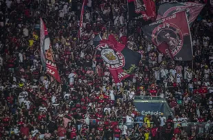 Imagem ilustrativa da imagem Flamengo recebe aval para construção de seu estádio próprio