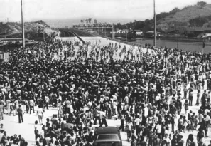 Imagem ilustrativa da imagem Exposição no Horto antecipa cinquentenário da Ponte Rio-Niterói