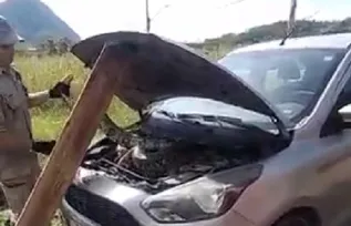 Imagem ilustrativa da imagem Jiboia aparece dentro de carro e assusta motorista em Maricá; vídeo