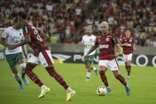 Imagem ilustrativa da imagem Flamengo enfrenta o Goiás ainda pensando em título do Brasileirão