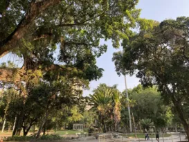 Imagem ilustrativa da imagem Árvores de parques urbanos de Niterói são mapeadas