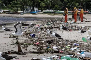 Imagem ilustrativa da imagem Niterói realiza Dia da Limpeza em praias do município