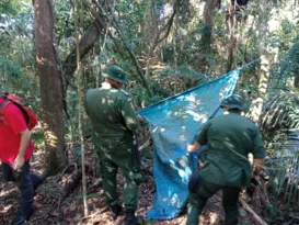 Imagem ilustrativa da imagem Acampamentos clandestinos são retirados em área de mata em Niterói