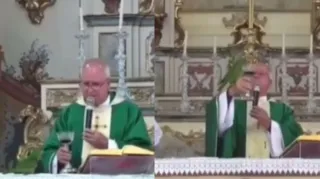 Imagem ilustrativa da imagem Pássaro 'invade' igreja e tenta beber vinho de padre durante missa