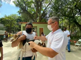 Imagem ilustrativa da imagem Campanha de Vacinação Antirrábica chega a Zona Norte de Niterói