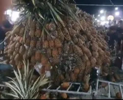 Imagem ilustrativa da imagem Estrutura com abacaxis cai durante tradicional festa em Pernambuco