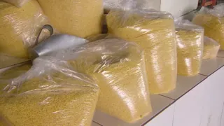 Imagem ilustrativa da imagem Seleção brasileira levará 30 kg de farinha de mandioca para Copa