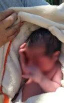 Imagem ilustrativa da imagem Bebê é encontrado na rua com os restos de placenta