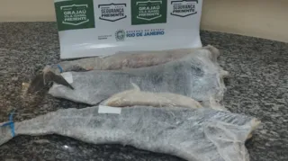 Imagem ilustrativa da imagem Preso acusado de furtar três peças de bacalhau no Rio