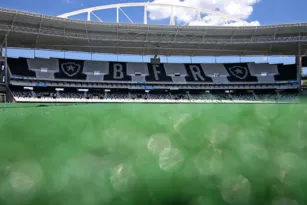 Imagem ilustrativa da imagem Botafogo estuda colocar grama sinética no estádio Nilton Santos