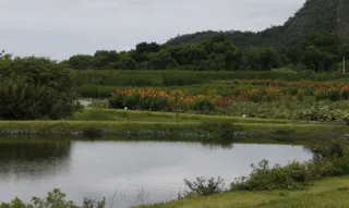 Imagem ilustrativa da imagem Novo parque em Niterói busca melhorar água e vegetação de lagoa