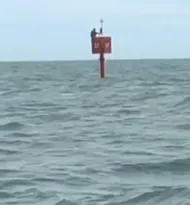 Imagem ilustrativa da imagem Vídeo: Pescador é encontrado pendurado em boia em alto mar no Rio