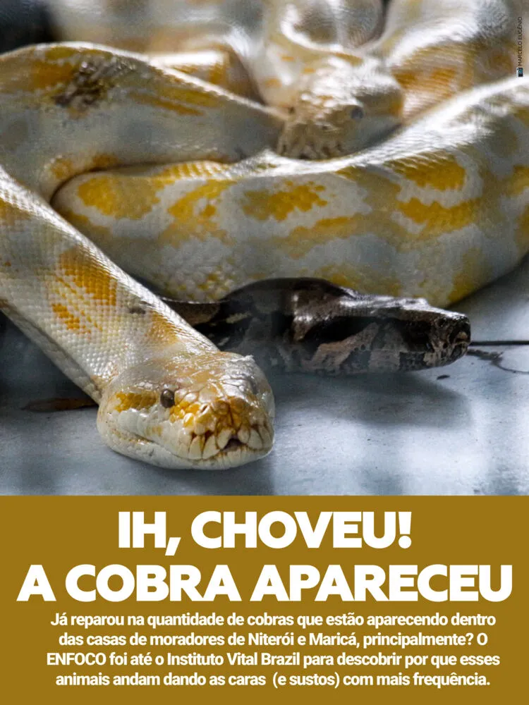 Imagem ilustrativa da imagem capa 140423
