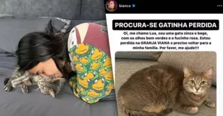 Imagem ilustrativa da imagem Bianca Andrade pede ajuda após gata sumir: 'Coração destruído'