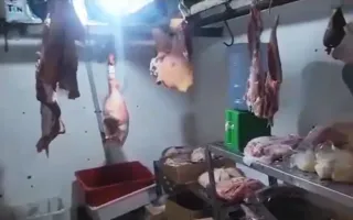 Imagem ilustrativa da imagem Cerca de 200 kg de carne são apreendidos em açougue no Rio
