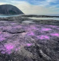 Imagem ilustrativa da imagem Chá revelação em pedra de Itacoatiara não tinha autorização