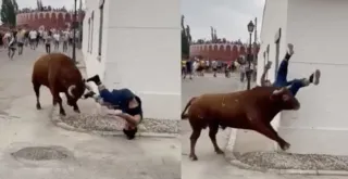 Imagem ilustrativa da imagem Mulher é atacada por touro ao se distrair com celular; vídeo