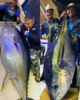 Imagem ilustrativa da imagem Não é história de pescador: grupo de Niterói fisga atum de 155 kg