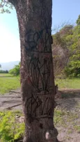 Imagem ilustrativa da imagem Parque municipal é vandalizado com pichações em Niterói