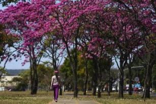 Imagem ilustrativa da imagem Primavera começa às 3h50 deste sábado; veja detalhes