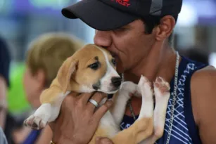 Imagem ilustrativa da imagem Protetores de animais de Maricá recebem 1º pagamento do 'Mumbucão'