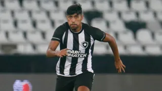 Imagem ilustrativa da imagem Saída de Luis Segovia bota o Botafogo em uma corrida contra o tempo