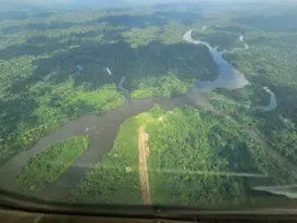 Imagem ilustrativa da imagem Tripulação de helicóptero é encontrada com vida após 4 dias na mata