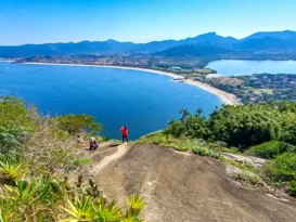 Imagem ilustrativa da imagem Visitantes acham carrapatos no Parque Estadual da Serra da Tiririca