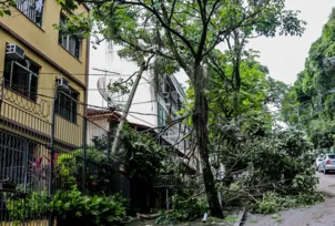 Imagem ilustrativa da imagem Temporal leva caos e destruição a bairro da Zona Oeste do Rio