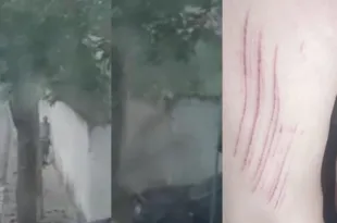 Imagem ilustrativa da imagem Muro desaba em Niterói e homem escapa 'por um fio'; confira o vídeo