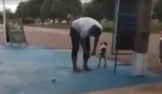 Imagem ilustrativa da imagem Vídeo: vereador amarra bombinha em rabo de cachorro no MT