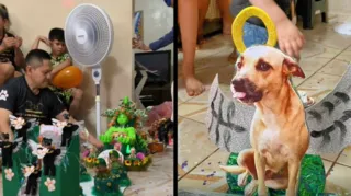 Imagem ilustrativa da imagem VÍDEO: Dono faz um desfile de Carnaval para sua falecida cadela