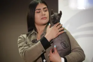 Imagem ilustrativa da imagem Gato tatuado é resgatado de presídio no México e será adotado