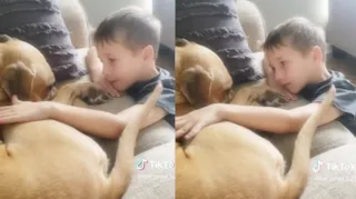 Imagem ilustrativa da imagem Criança junta mesada para adotar cachorro em abrigo