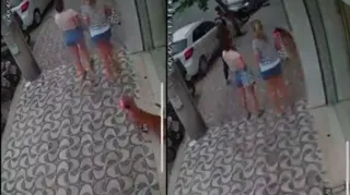 Imagem ilustrativa da imagem Vídeo: 'Vira-lata caramelo' rouba biquíni em loja