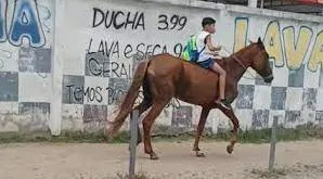 Imagem ilustrativa da imagem Vídeo: menino de 11 anos vai pra escola a cavalo no Rio