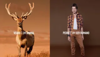 Imagem ilustrativa da imagem Marca de roupa compara pessoas a animais e causa indignação na web