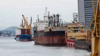 Imagem ilustrativa da imagem Ambientalista reivindica uso de venda de carcaças de navios na Baía