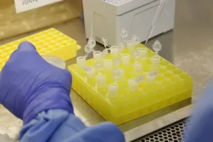 Imagem ilustrativa da imagem Estudo mostra efetividade das vacinas Coronavac e AstraZeneca em idosos