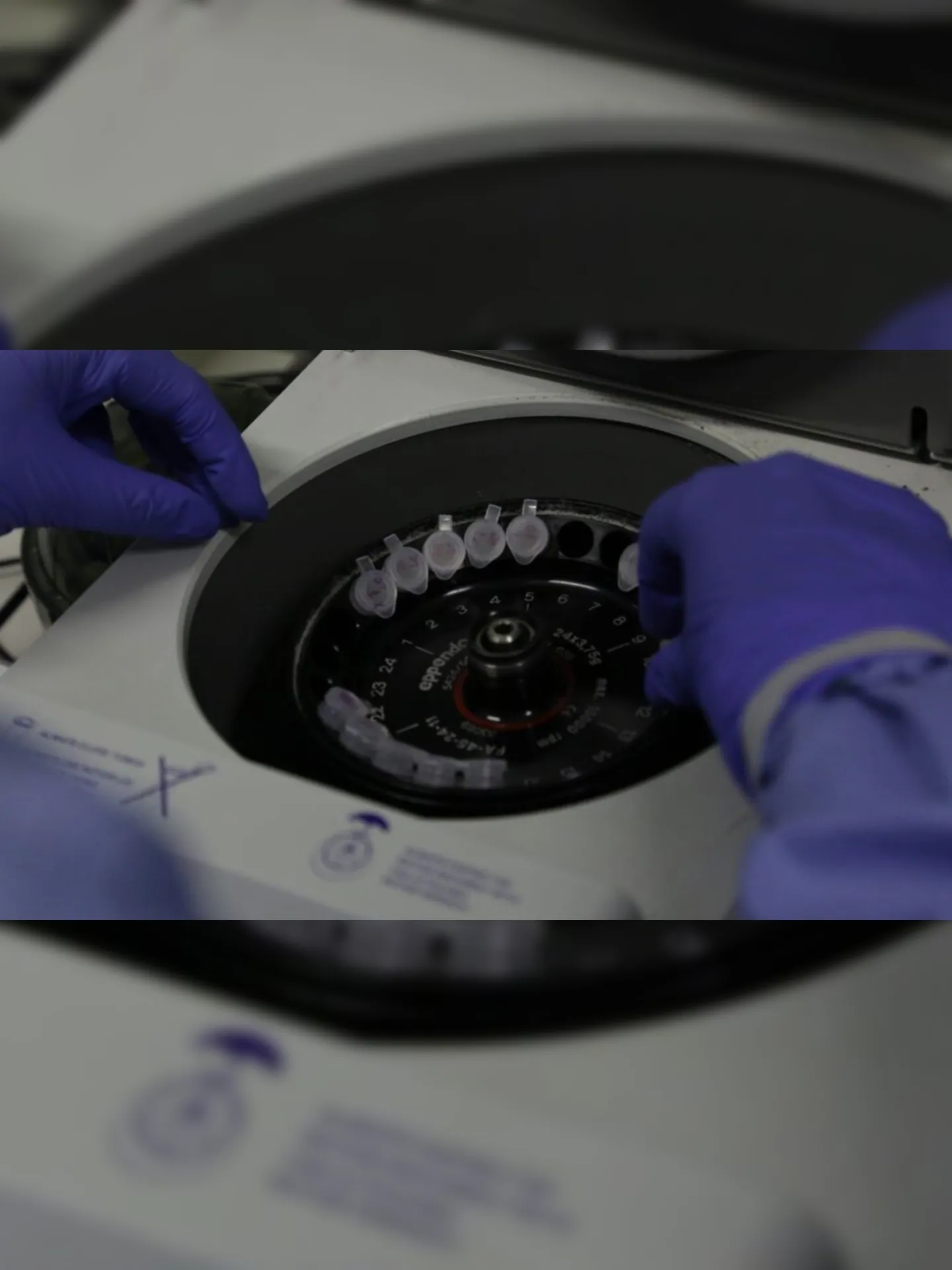 Diagnóstico laboratorial de casos suspeitos do novo coronavírus (2019-nCoV), realizado pelo Laboratório de Vírus Respiratório e do Sarampo do Instituto Oswaldo Cruz (IOC/Fiocruz), que atua como Centro de Referência Nacional em Vírus Respiratórios para o Ministério da Saúde