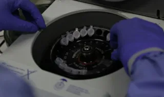 Imagem ilustrativa da imagem UFF desenvolve teste rápido para coronavírus em Niterói
