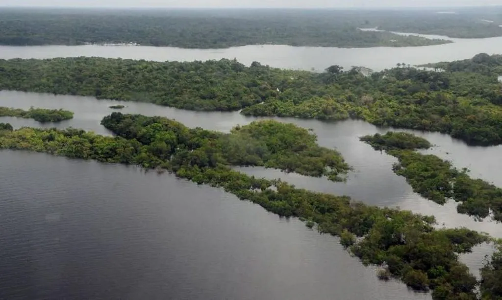 Imagem ilustrativa da imagem Dia da Amazônia é celebrado neste sábado