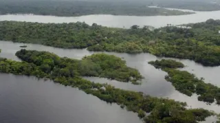 Imagem ilustrativa da imagem Amazônia tem menor índice de desmatamento dos últimos 4 anos