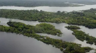 Imagem ilustrativa da imagem UE promete 1 bilhão de euros para proteção de florestas